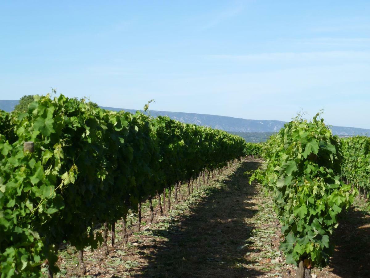 Luberon & Lavandes รูสซียง ภายนอก รูปภาพ