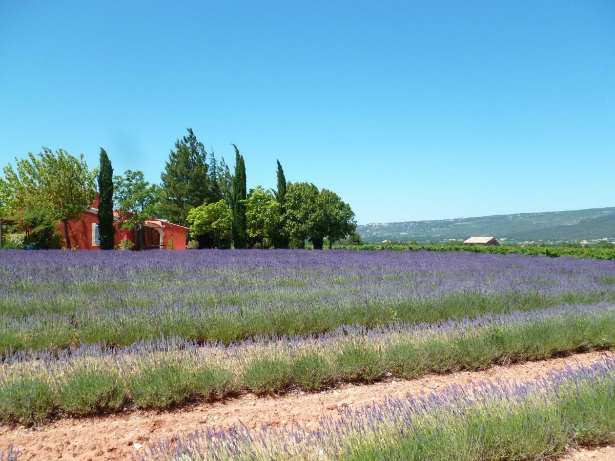 Luberon & Lavandes รูสซียง ภายนอก รูปภาพ